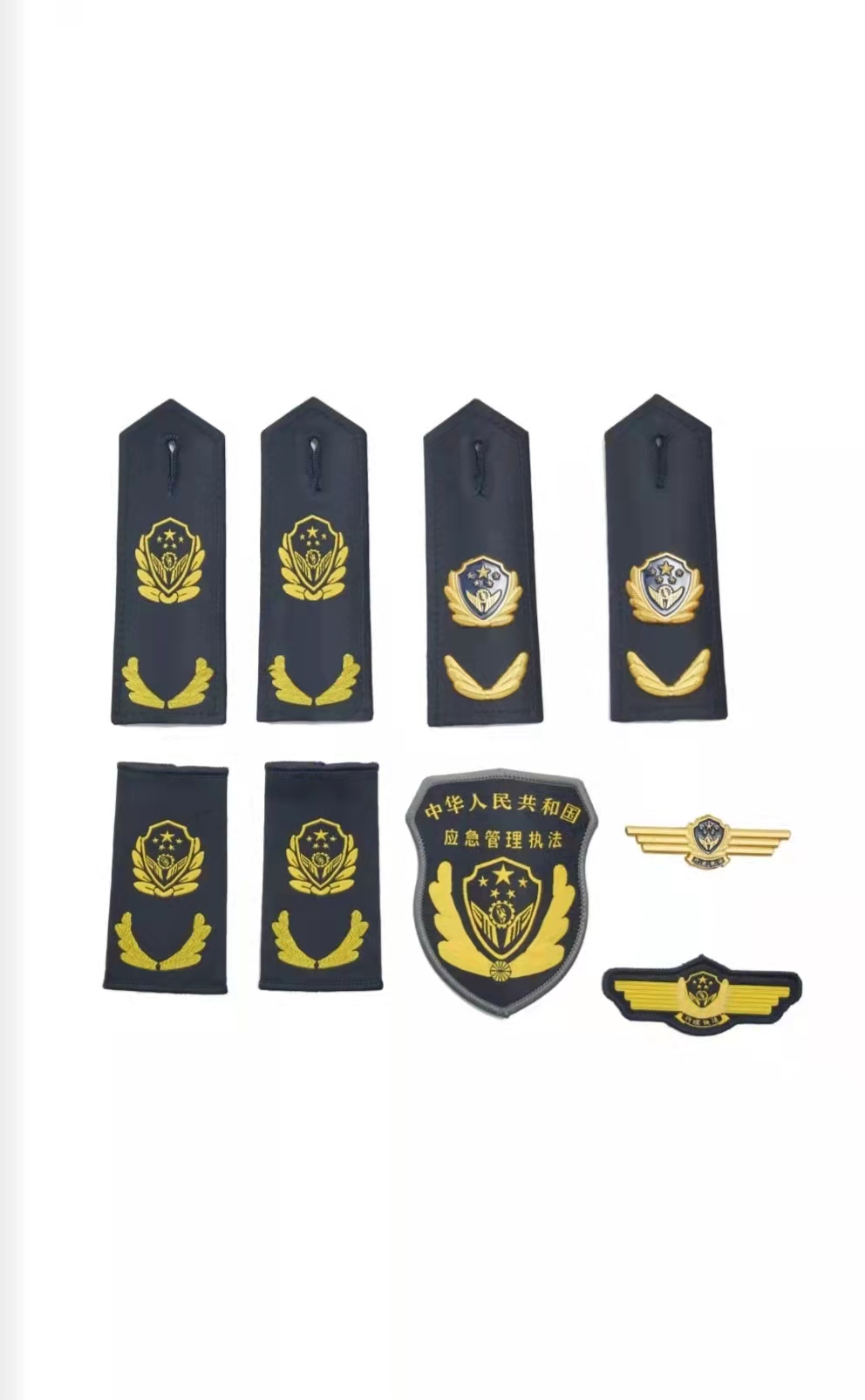 南京应急管理执法制服标志